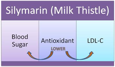 Milk Thistle Cholesterol Lowering