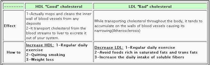 Hdl And Ldl Chart