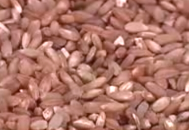 red rice