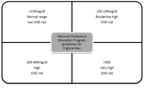 normal triglycerides levels