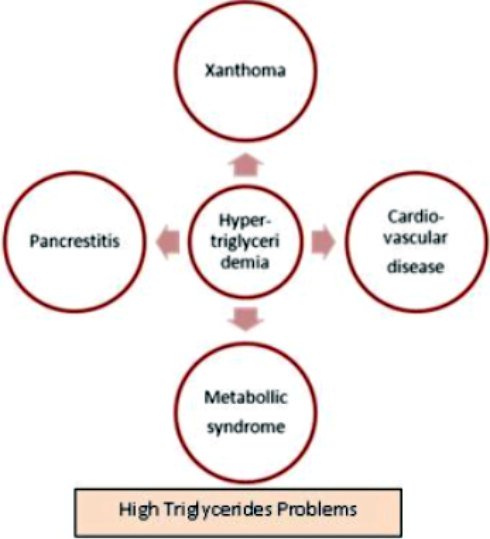high triglycerides problem