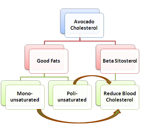 avocado cholesterol foods