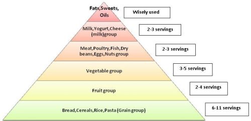 Cholesterol And Saturated Fat Food Chart