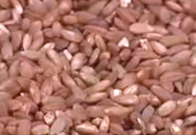 red rice red rice